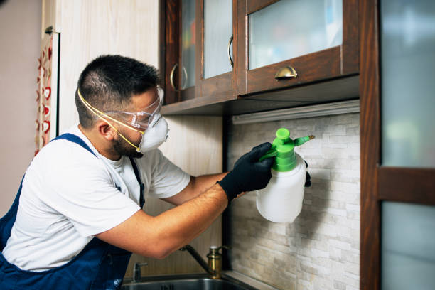  Collinsville, VA Pest Control Pros